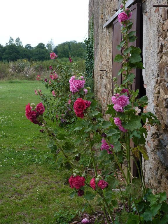Chambres D'Hotes Le Chateau Rouge Saint-Germain-sur-Moine Eksteriør bilde